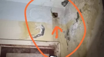 مياه الصرف تغمر مدرسة بحلمية الزيتون وأولياء الأمور يطالبون وزير التعليم بالتدخل